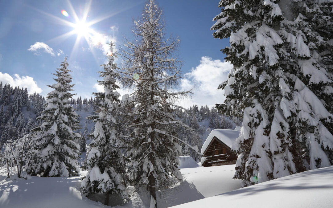 Winter is around the corner: What to do in Sutrio and Carnia