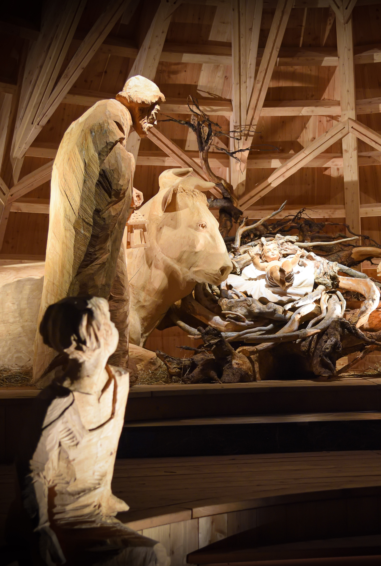 Presepe in Vaticano_Sutrio