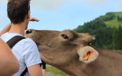 What to Do in Carnia? Discover it with Visit Zoncolan.