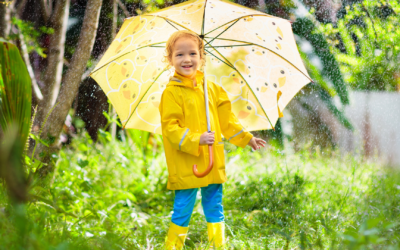 What To Do In Sutrio When It Rains